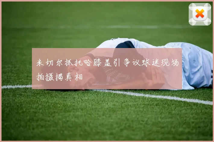 米切尔抓托哈膝盖引争议球迷现场拍摄揭真相