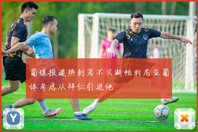 葡媒报道热刺若不买断帕利尼亚葡体考虑从拜仁引进他
